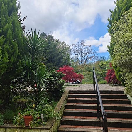 Posada Las Mozas Del Agua De Ríocorvo Exterior foto