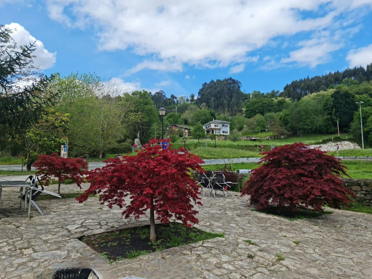 Posada Las Mozas Del Agua De Ríocorvo Exterior foto
