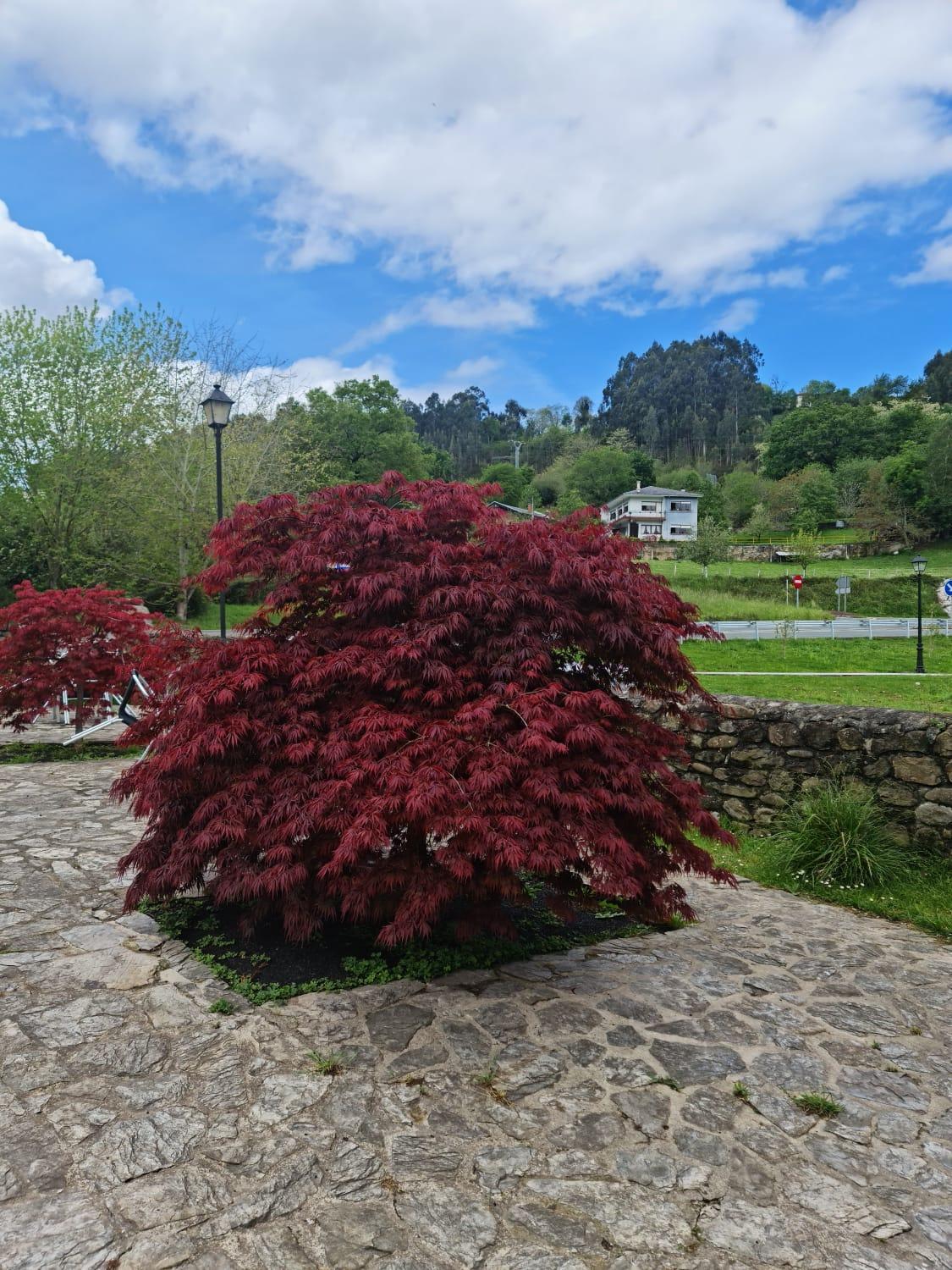 Posada Las Mozas Del Agua De Ríocorvo Exterior foto